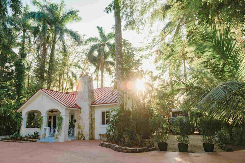 house and greenery