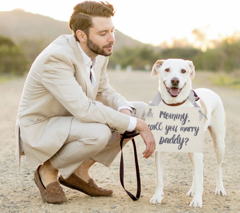 A person holding a dog