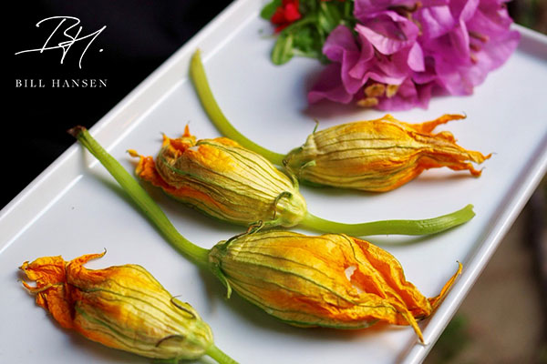 catering tray of zucchini blossoms
